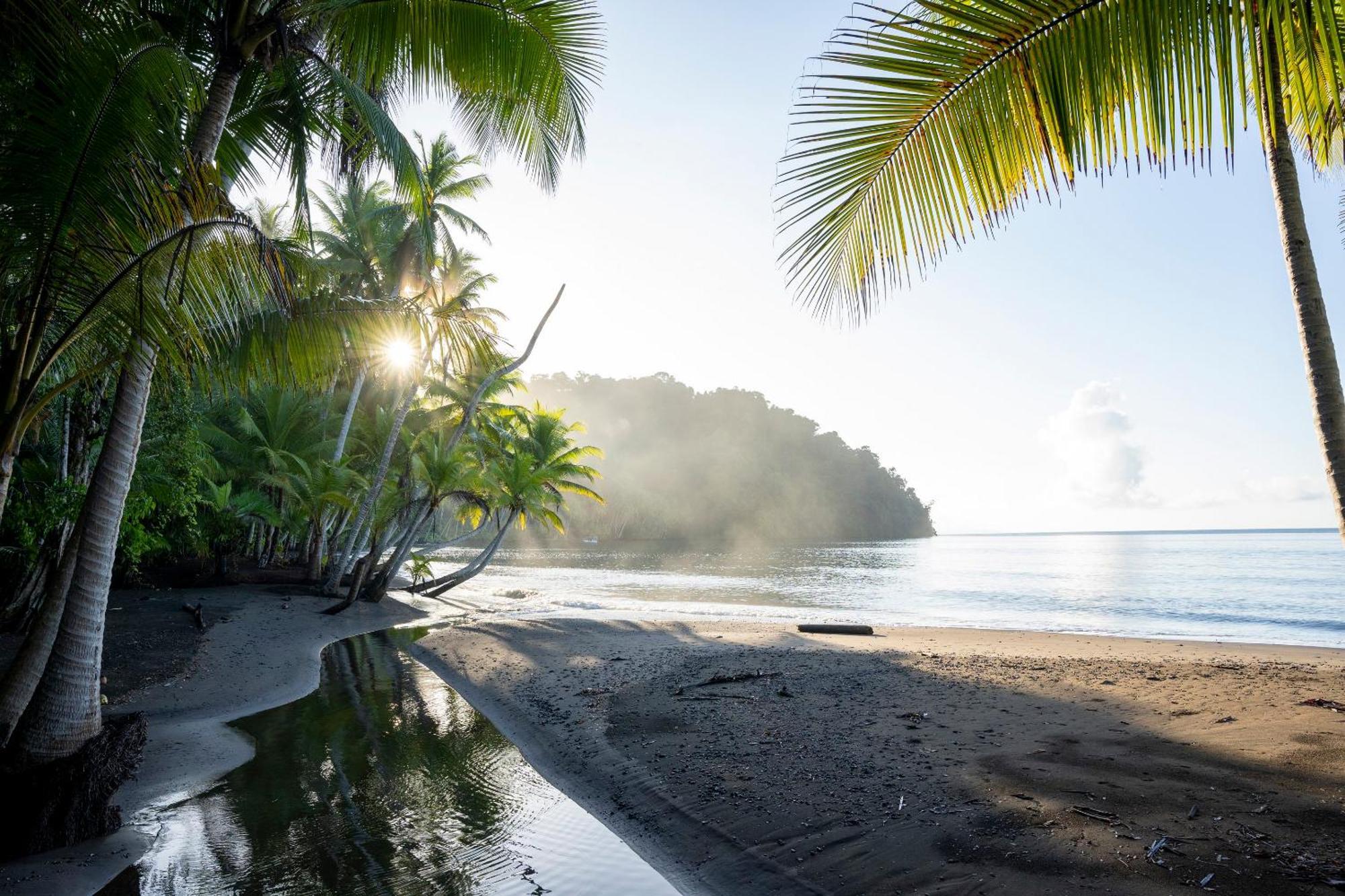Playa Cativo Lodge Esquinas 외부 사진