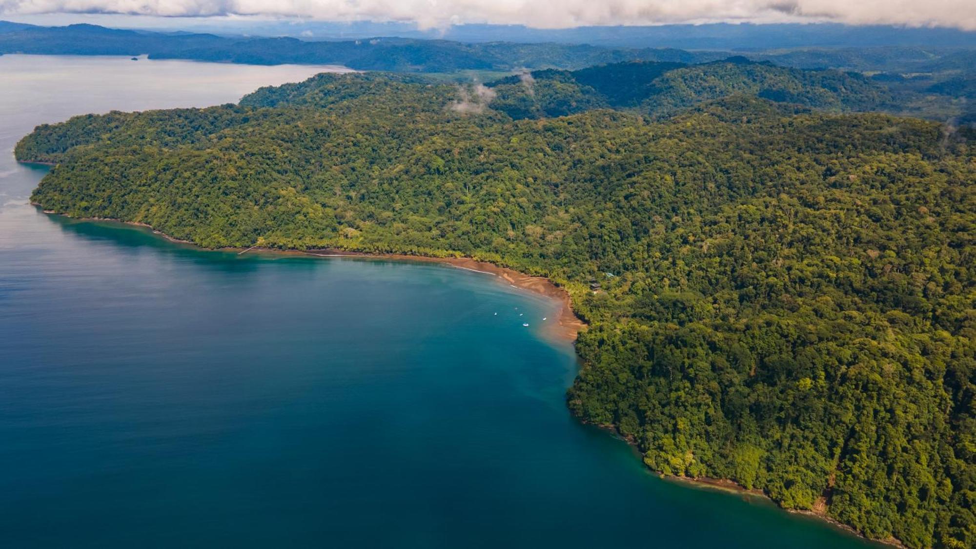Playa Cativo Lodge Esquinas 외부 사진