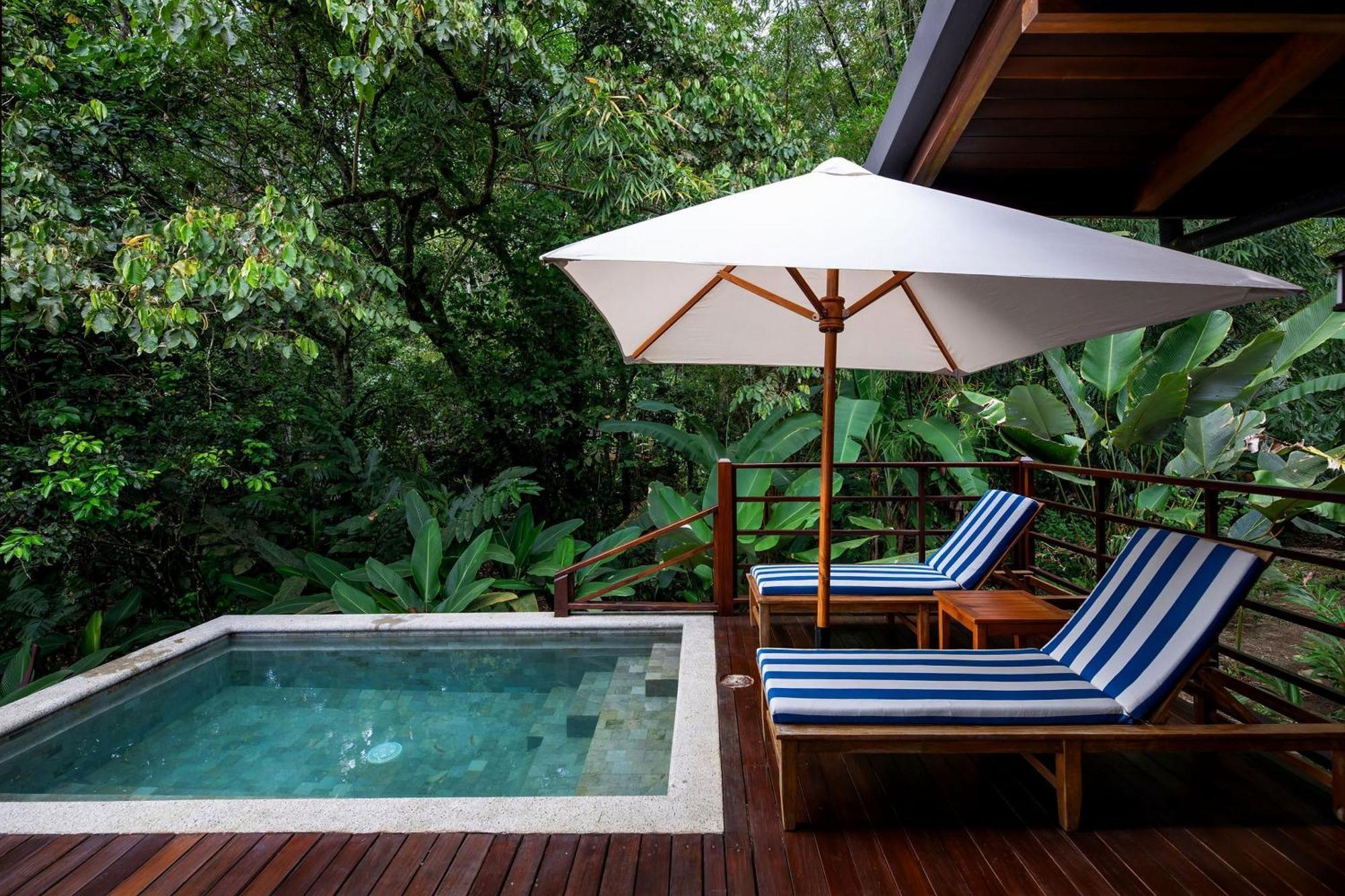 Playa Cativo Lodge Esquinas 객실 사진